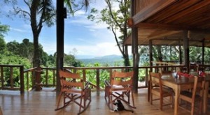 Costa Rica Deck and Chairs